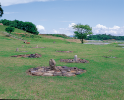 樺山遺跡 (国指定史跡)の外観