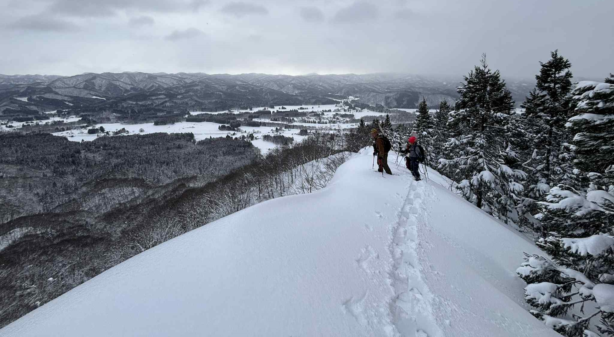 コラボツアーサムネ