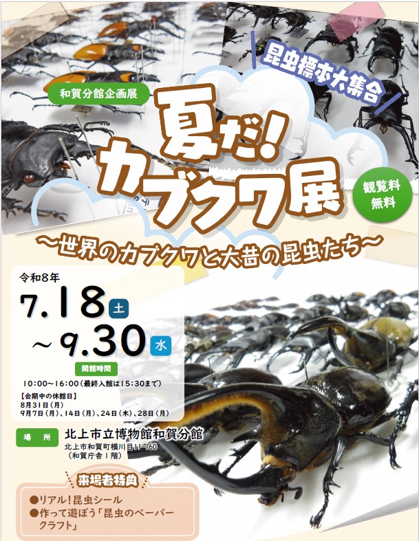 R8カブクワ