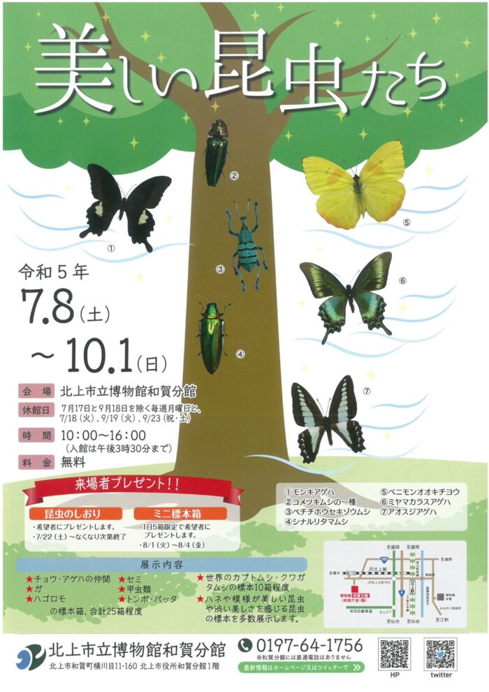 北上市立博物館和賀分館企画展「美しい昆虫たち」
